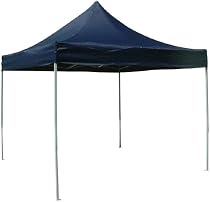 Canopy 10 X 10 No Logo Blue
