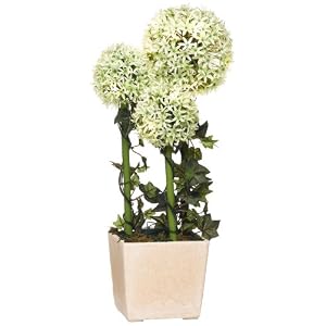 GKI Bethlehem Lighting 20-Inch White Alliums with LED Lights, Battery Operated by 