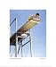 High Dive Giclee Poster Print by Norman Rockwell, 12x14