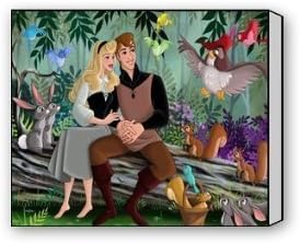 Custom Princess Aurora Sleeping Beauty Pattern Paintings on Canvas 16 x 12 Inch and Framed Ready to Hang