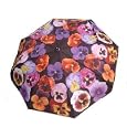 Pansy pansies folding umbrella compact auto open art
