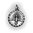 Small Medal of a Brilliant Dove