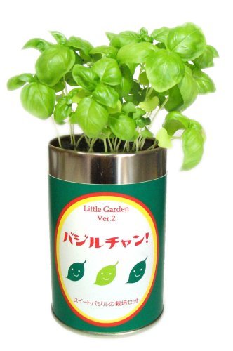 LGL-20 バジルチャン スイートバジル 0319n