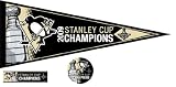 Pittsburgh PENGUINS 2009 NHL Stanley Cup Champs Pennant + Fan PK