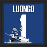 Roberto Luongo Vancouver Canucks Uniframe Framed Jersey Photo 20x20