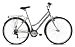 The New 2011 Reflex Range has been designed and specified by the Avocet team to make each model ideal for exploring tracks n trails, cutting down on car journeys or even shed a couple of extra kilos as part of a healthier life style. Reflex bikes offer a refreshing alternative to fluctuating fuel costs, congestion charges and credit crunches.  The Reflex Horizon is built around a solid high tensile steel frame, perfect for weekend jaunts or short commutes. It features a Shimano 18 speed indexed transmission, that provides a gear for just about every situation, with intuitive twist shifting. Other features include lightweight alloy 700c rims, full mudguards, rear carrier, comfort saddle and a powerful 'v' brake system.