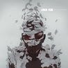 Bild des Albums von Linkin Park