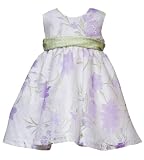 Rare Editions Baby/Infant Girls 3M-24M IVORY LILAC LAVENDER LIME GREEN FLORAL BURNOUT Special Occasion Wedding Flower Girl Birthday Party Dress-18M