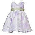 Rare Editions Baby/Infant Girls 3M-24M IVORY LILAC LAVENDER LIME GREEN FLORAL BURNOUT Special Occasion Wedding Flower Girl Birthday Party Dress