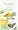 Revolution Tea Tropical Green Tea, 16-Count Teabags (Pack of 6)