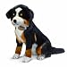 Russ Yomiko 20 Bernese Mountain Dog