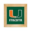 University of Miami Trivet - Wall Hanging
