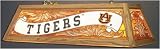Auburn Wood Frame Billiards Light - Flourescent