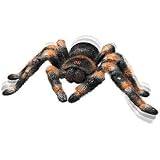 Uncle Milton Remote Control Tarantula