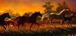 A Brand New Hope 1000pc Jigsaw Puzzle by Nancy Glazier