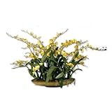 Uttermost Shangri-La Orchids Faux Floral Uttermost Shangri-La Orchids Faux Floral