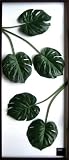 F-style リーフパネル・570x1375x30mm　Monstera deliciosa