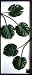 F-style �꡼�եѥͥ롦570x1375x30mm��Monstera deliciosa�� ########################################################################################################################################################################################################...