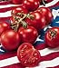 Fourth of July Hybrid Tomato 25 Seeds - Early Variety!