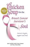Chicken Soup for the Breast Cancer Survivors Soul: Stories to Inspire, Support and Heal