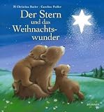 Der Stern und das Weihnachtswunder - M Christina Butler
