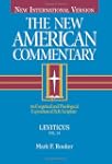 The New American Commentary Volume 3A...