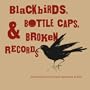 Blackbirds, Bottle Caps & Broken Records: Environmental Artist Bryant Holsenbeck at Work