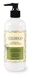 Review Caldrea  / Caldrea Hand Lotion, Green Tea Patchouli, 11-Ounce Bottles (Pack of 6)