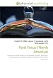 Image of Ford Focus (North America): Ford Focus (North America). Ford Fusion (Europe). Ford Focus (international), Ford Escort (North America), Ford Contour, Ford Fiesta