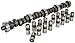 JEGS 200131 Hydraulic Flat Tappet Camshaft & Lifters