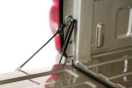 DeeZee DZ 43101 EZ Down Tailgate Lift Support