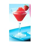 Clear Acrylic Martini Glass by Precidio