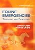 Equine Emergencies: Treatment and Procedures
