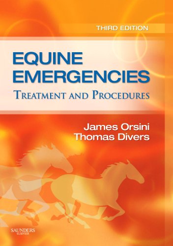 Equine Emergencies: Treatment and Procedures