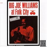 Review Big Joe Williams  / Big Joe Williams at Folk City