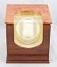 QUBE AUTOMATIC 1 WATCH WINDER TURNER BOX DISPLAY NEW