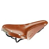 Brooks Saddles B17 Standard Bicycle Saddle (Black Rails, Honey)