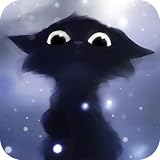 Yin The Black Cat