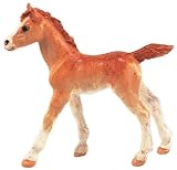 Walking Colt, Safari Farm
