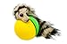 Weazel Ball Motorized Ball Pet Toy
