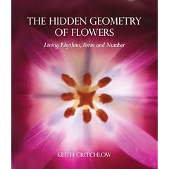 The Hidden Geometry of Flowers: Living Rhythms, Form and Number
