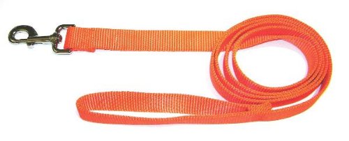 St Nyl Lead - Slos 4Or - Bci