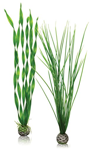 biOrb Easy Plant - 2 Pack Large