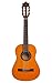 Ibanez 6 String Classical Guitar, Right, Natural (GA1)