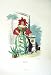 1981 Flowers Cactus Lady Green Plant Grandville Colour