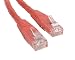 StarTech  C6PATCH2RD Molded Cat 6 Patch Cable ETL Verified (2 Feet, Red)