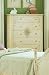 Hand-Painted Weathered Wash Finish Storage Chest