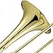 Cecilio Gold Lacquer 2 Tone School Band Bb Trombone