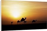 Canvas Prints of Gabbra tribesmen watch over their camels at a water from AWL Discover Images Canvas Prints of Gabbra tribesmen watch over their camels at a water from AWL Discover Images