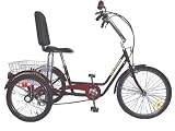 Tri Rider Semi Recumbent Comfort 24/20 6 speed adult trike Bike #98223
